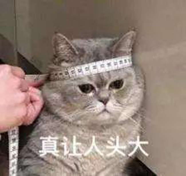 無人警務(wù)自助終端落戶阜陽機(jī)場(chǎng)！忘帶身份證也不用急了