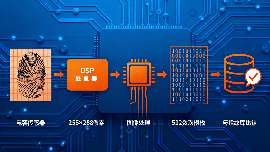 BA-ZW0C指紋識(shí)別模塊功能參數(shù)示意圖